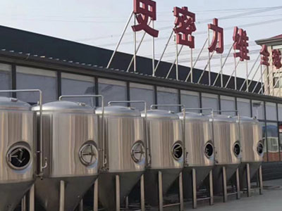 景德镇精酿啤酒设备厂—市场规模与跨界新需求